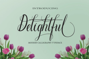 Delightful Font Review for Modern Campaign Design