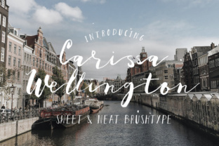 Elevate Editorial Design with Carissa Wellington Script Font
