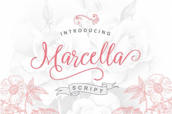 Marcella: The Elegant Script Font for Handmade Brands